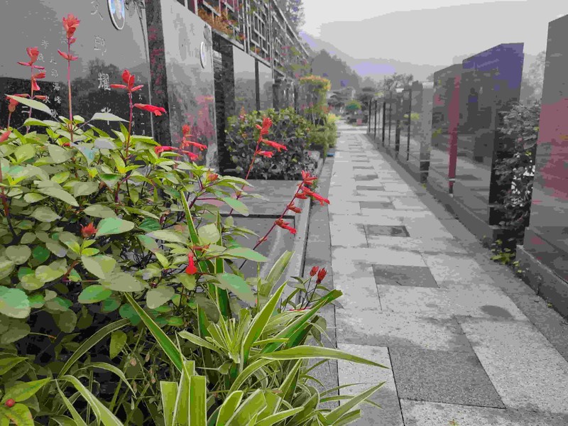 公墓考察参观
