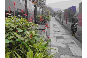 陵墓维护